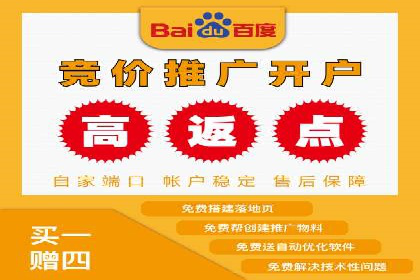 推广竞价策略解析：成功案例分享